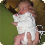 04-Alma tiny